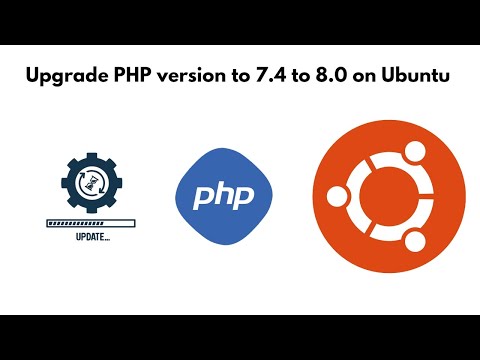 Local Development Environment Be Taught WordPress