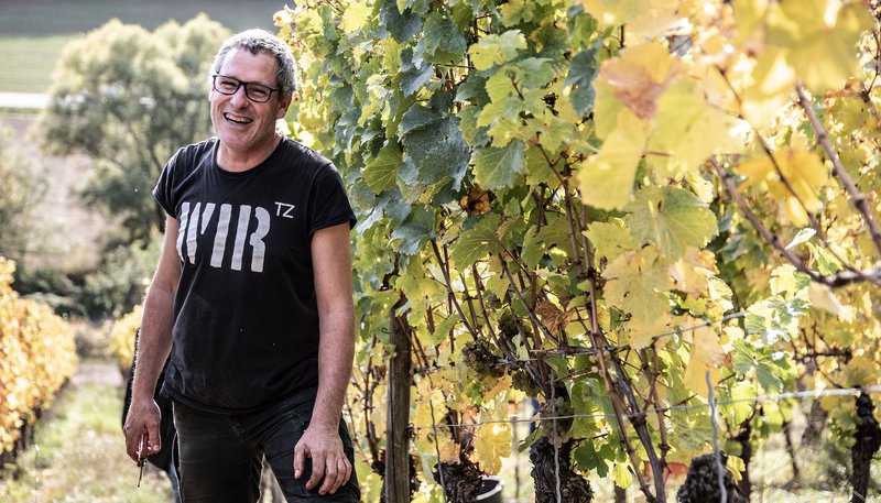 Achtung Deutschland: Catspins Casino ist Ihr Ziel für Slots und Bonus Angebote